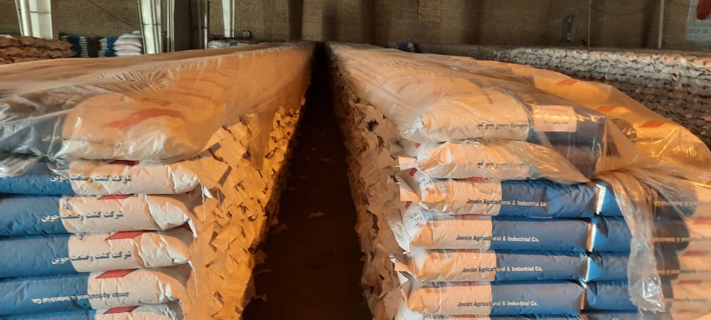 بذر ذرت شرکت کشت و صنعت جوین