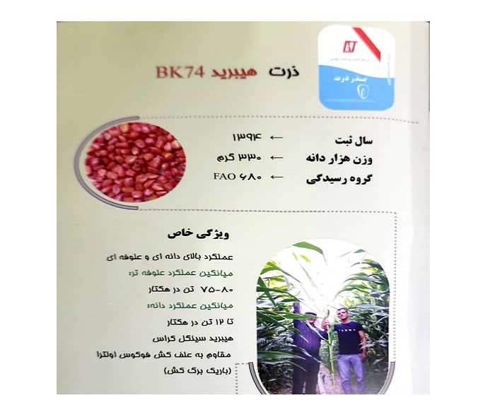 چرا فروشگاه مزرعه سبز شاه‌جهان انتخاب مناسبی است؟